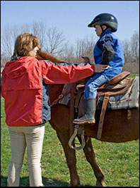 Equine Therapy