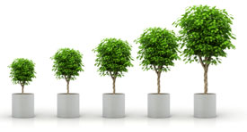 Post Traumatic Growth